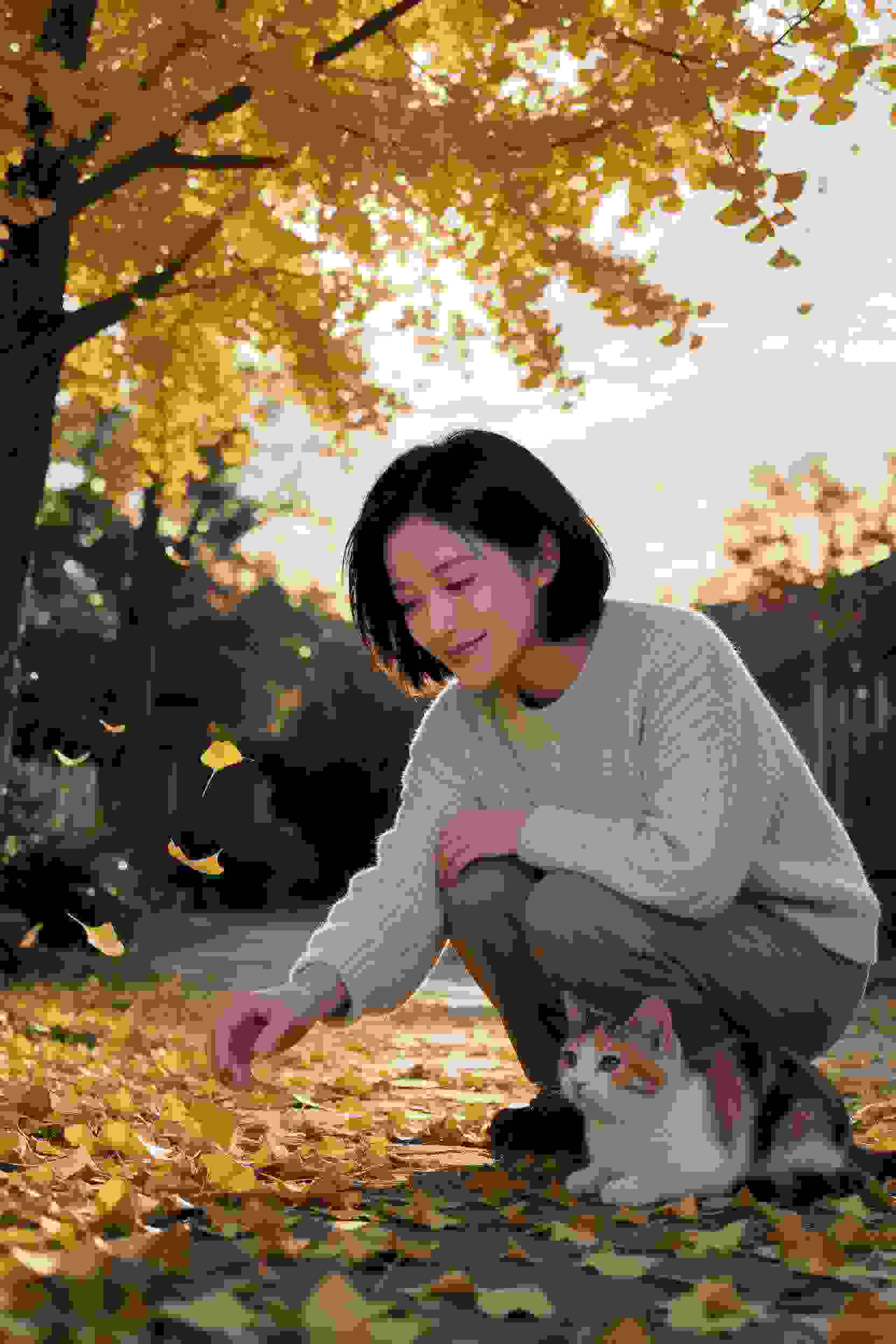 与你同行